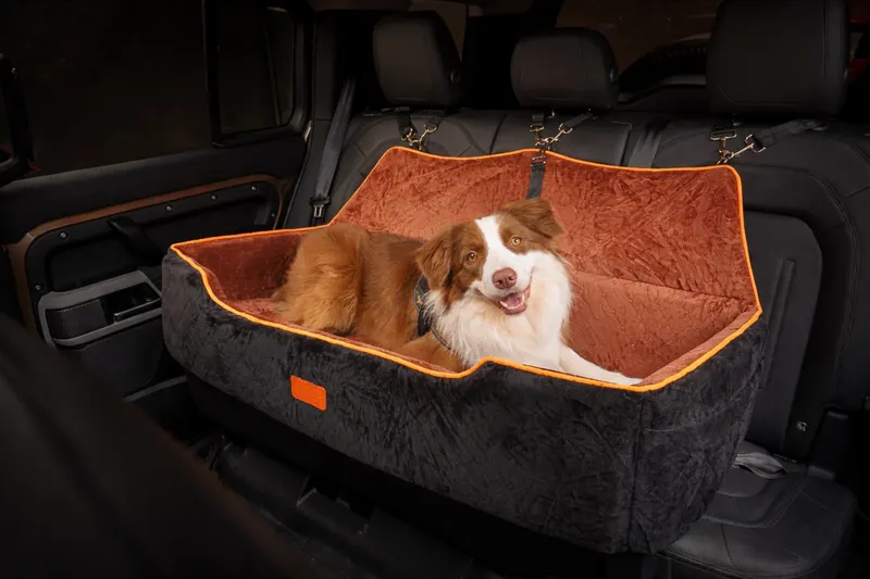 Border Collie sorrindo no assento G preto e marrom instalado no Defender