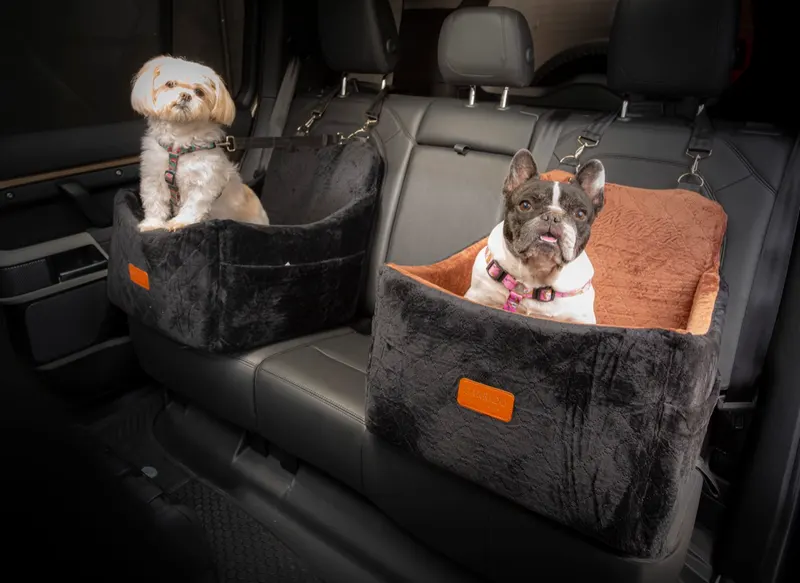 Dois pets lado a lado nos assentos P e G