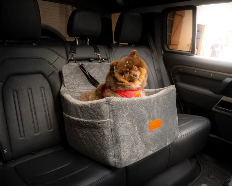 Spitz no assento P cinza