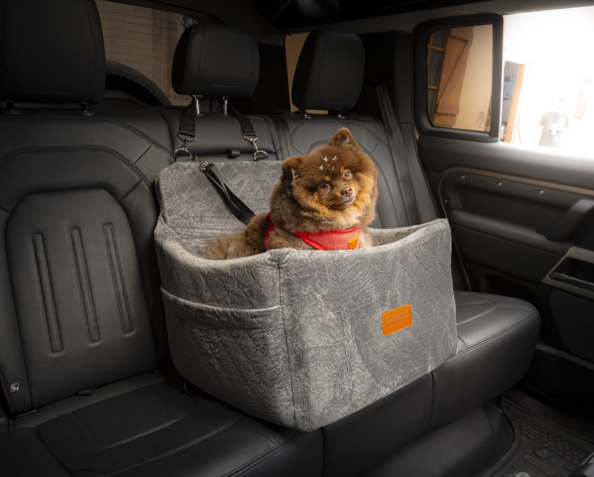 Spitz no assento P cinza