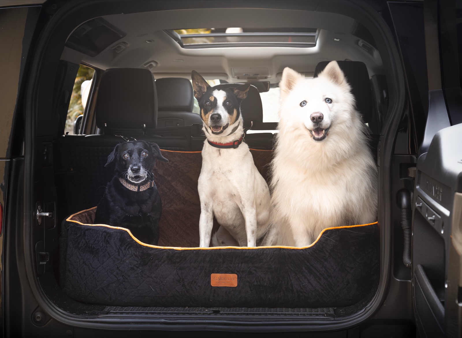 Três cães no assento G preto e marrom no porta-malas